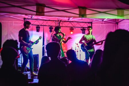 Academic Fools (11:30)